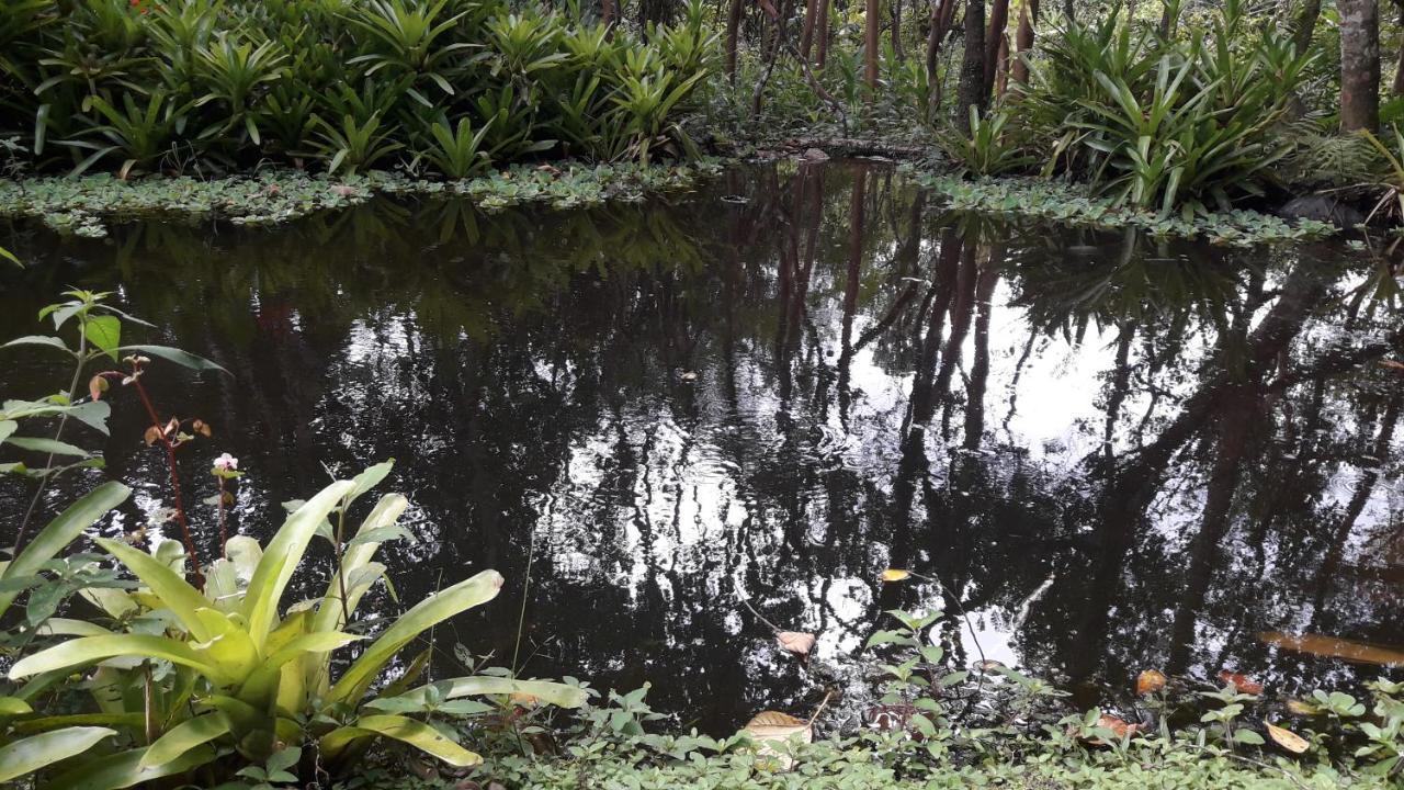 Hotel Pousada Chacara Pacheco Visconde De Maua Zewnętrze zdjęcie